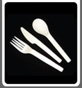 BIODEGRADABLE CUTLERY